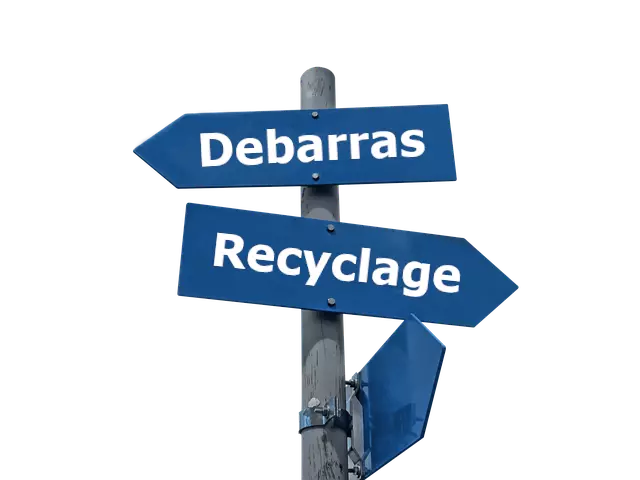 Recyclage automobile écologique